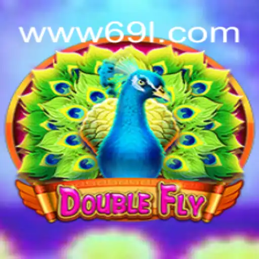 DoubleFly: A Thrilling Casino Game Experience